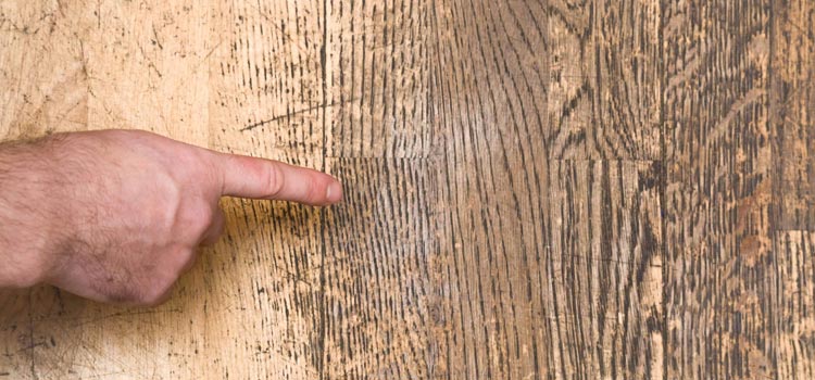 Wood Door Scratch Repair in Sun Village